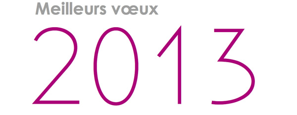 Meilleurs voeux 2013